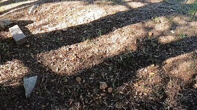 FULL PUBLIC BLOWJOB best cum in the her mouth Show that boobs