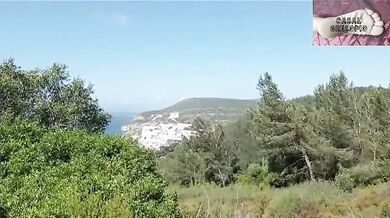 TROCANDO DE ROUPA NA FLORESTA