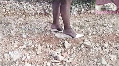 PASSEIO NA FLORESTA 6