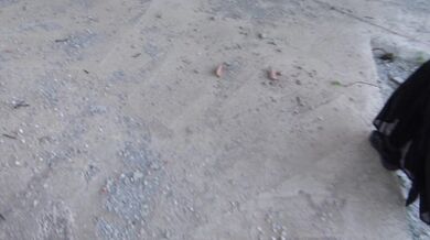 Inside The Biggest Brothel Ever Existed داخل اكبر بيت دعارة بالعراق