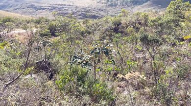 WE STOPPED ON THE ROAD AND I SUCKED MY BOYFRIEND IN THE WOODS