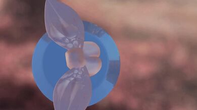 Orgasmic Flying Pussy