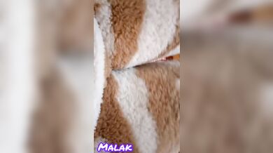 Kankfat tboni klani bghit li ihwini