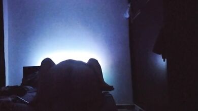 وخا مفارقين ود لقحبة تيعرف يحوي كل ليلة تنعرض عليه لدار هير باش نتحوا فيديو مغربية مطلقة ????????????