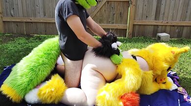 Furry backyard Sex